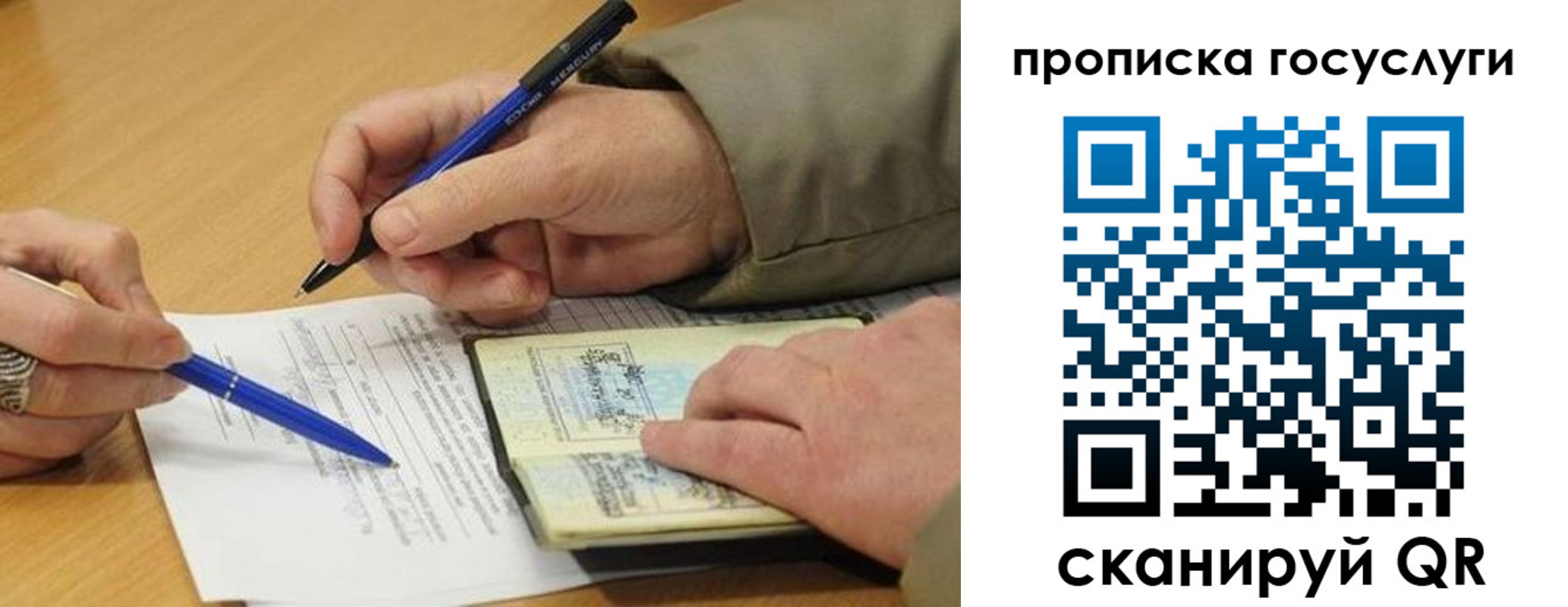 прописка законно в Фокино